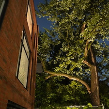 Landscape-Lighting-Repair-Upgrade-in-Ahuntsic-Montreal 8